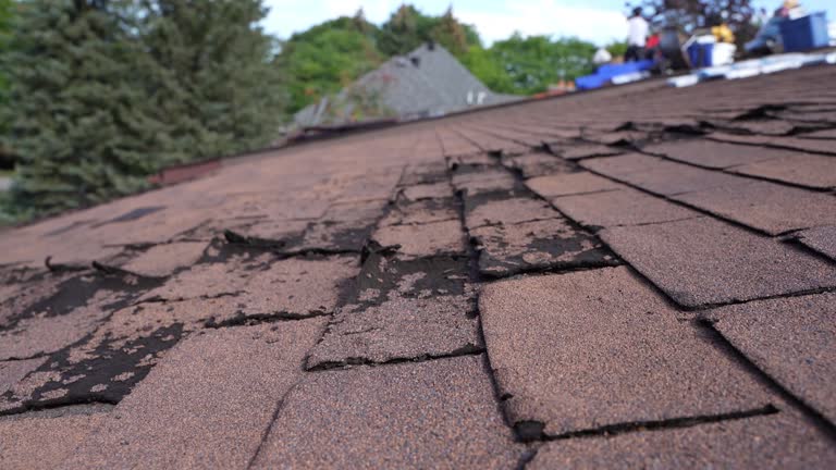Best Roofing for New Construction  in Brook Park, OH