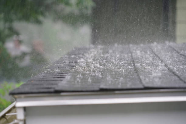Best Storm Damage Roof Repair  in Brook Park, OH