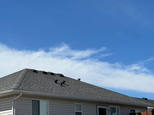 Best Asphalt Shingles Roofing  in Brook Park, OH